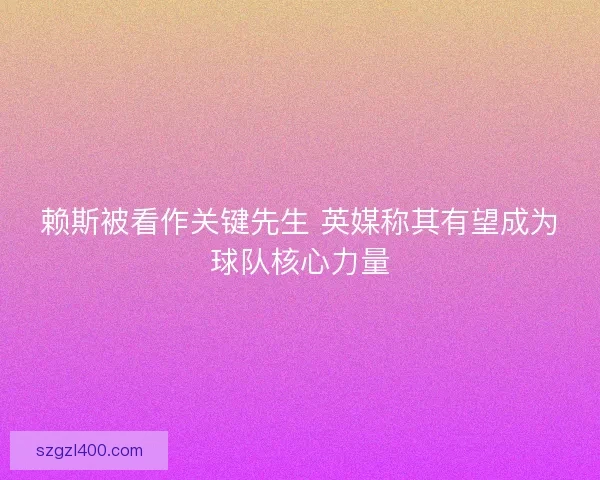赖斯被看作关键先生 英媒称其有望成为球队核心力量
