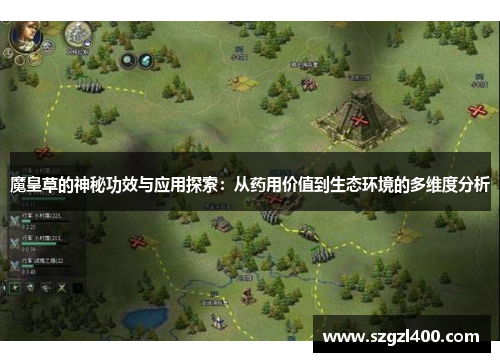 魔皇草的神秘功效与应用探索：从药用价值到生态环境的多维度分析