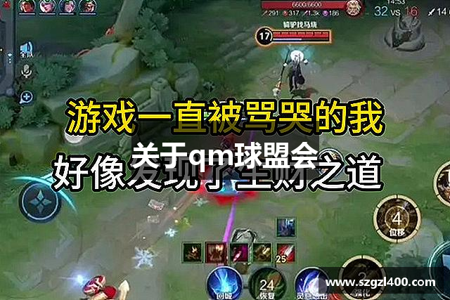 关于qm球盟会